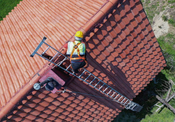 Best Asphalt Shingles Roofing  in Newark, TX