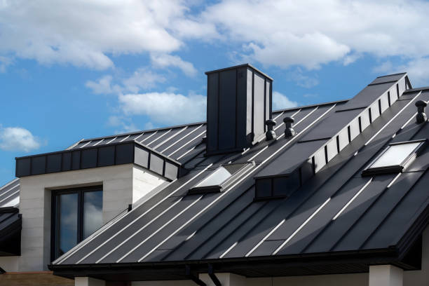 Best Solar Panel Roofing Installation  in Newark, TX